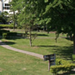 Campus Life