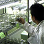 理学専攻